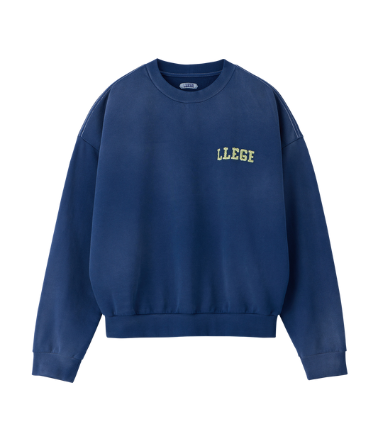 GARMENT DYED FRYED LOGO SWEATSHIRT