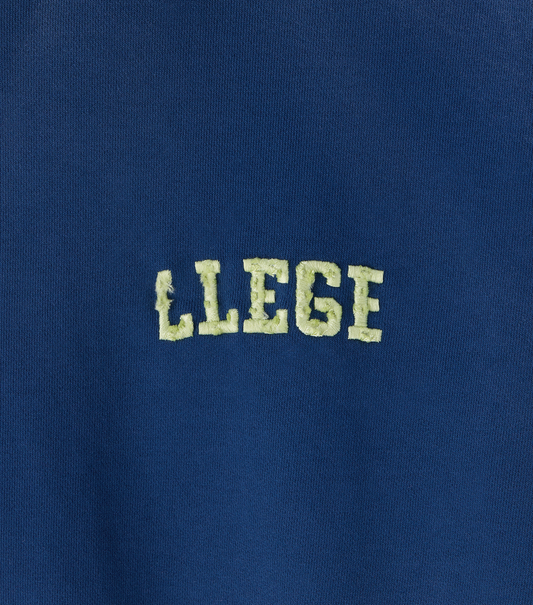 GARMENT DYED FRYED LOGO HOODIE