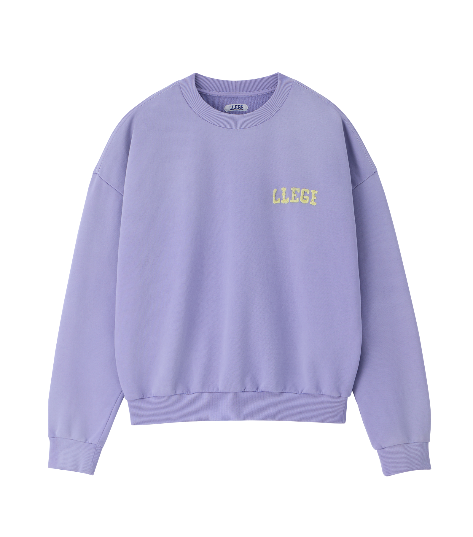 GARMENT DYED FRYED LOGO SWEATSHIRT