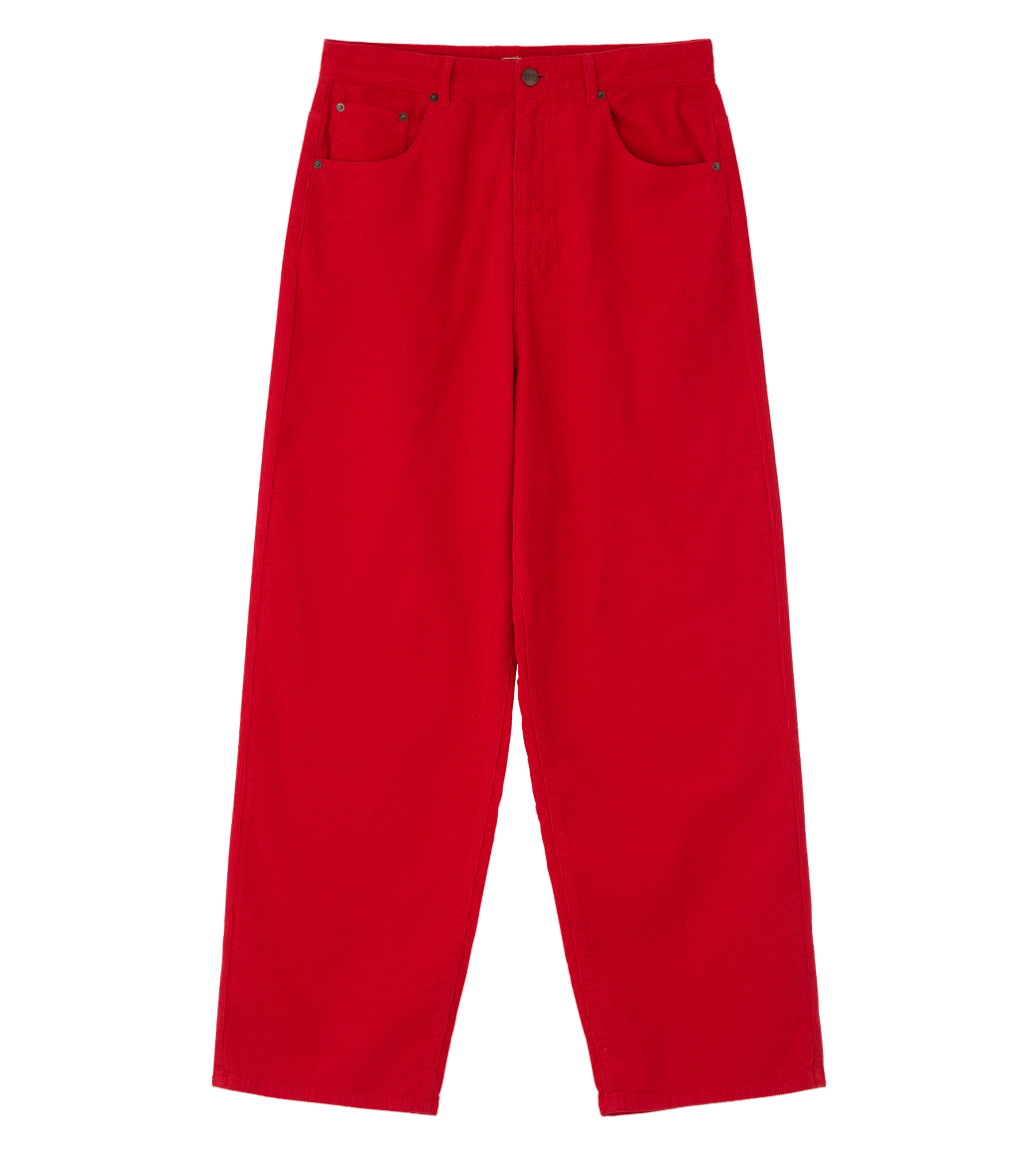CORDUROY SKATER PANTS