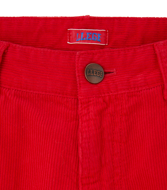 CORDUROY SKATER PANTS