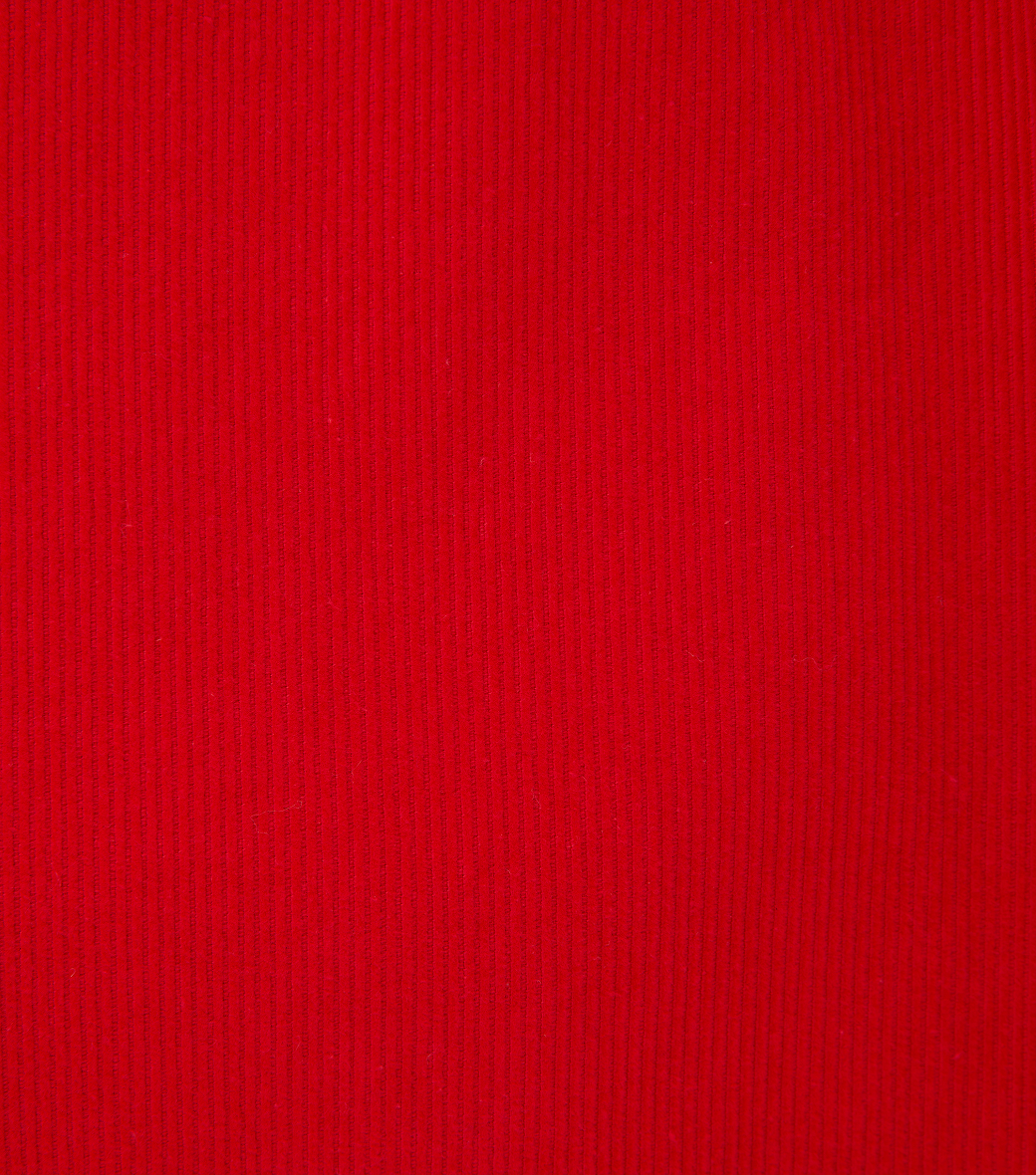CORDUROY SKATER PANTS