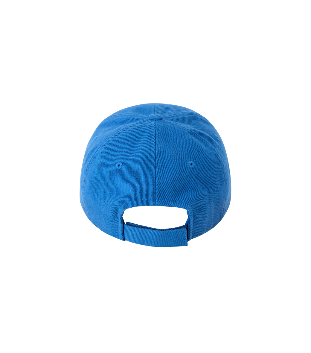 CLASSIC LLEGE BALL CAP