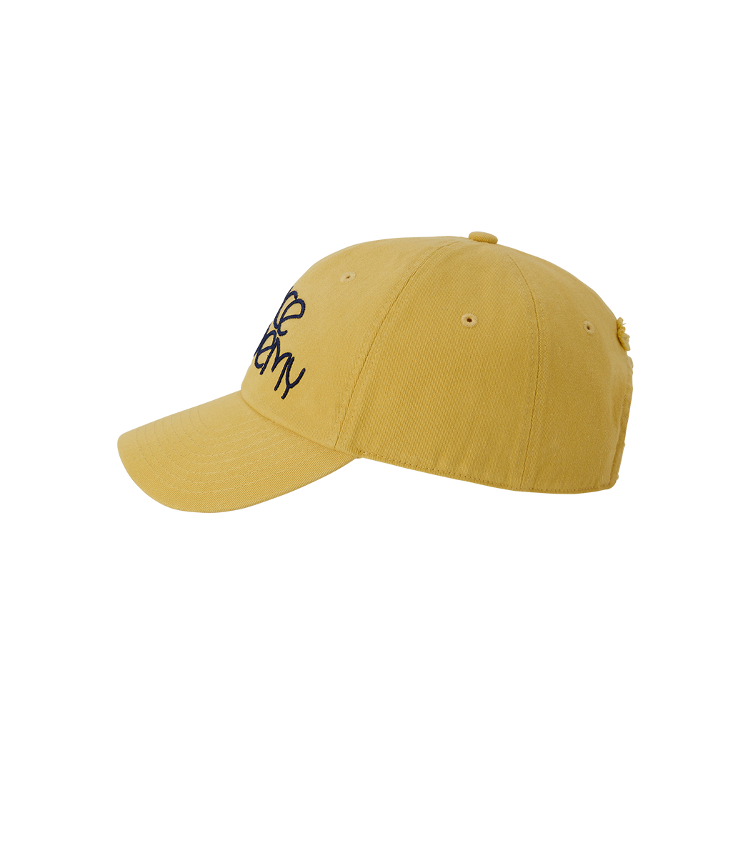 DANCE ACADEMY BALL CAP